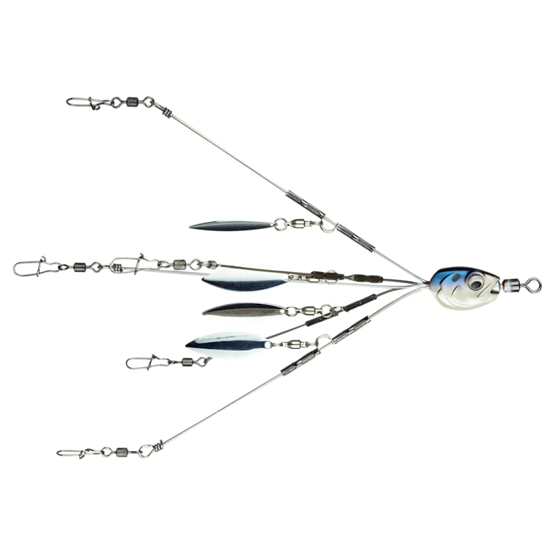 6th Sense Fishing Divine Umbrella Rig