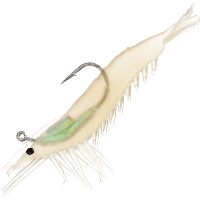 Tsunami Holographic Shrimp