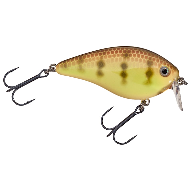 Strike King KVD 1.5 Shallow Runner
