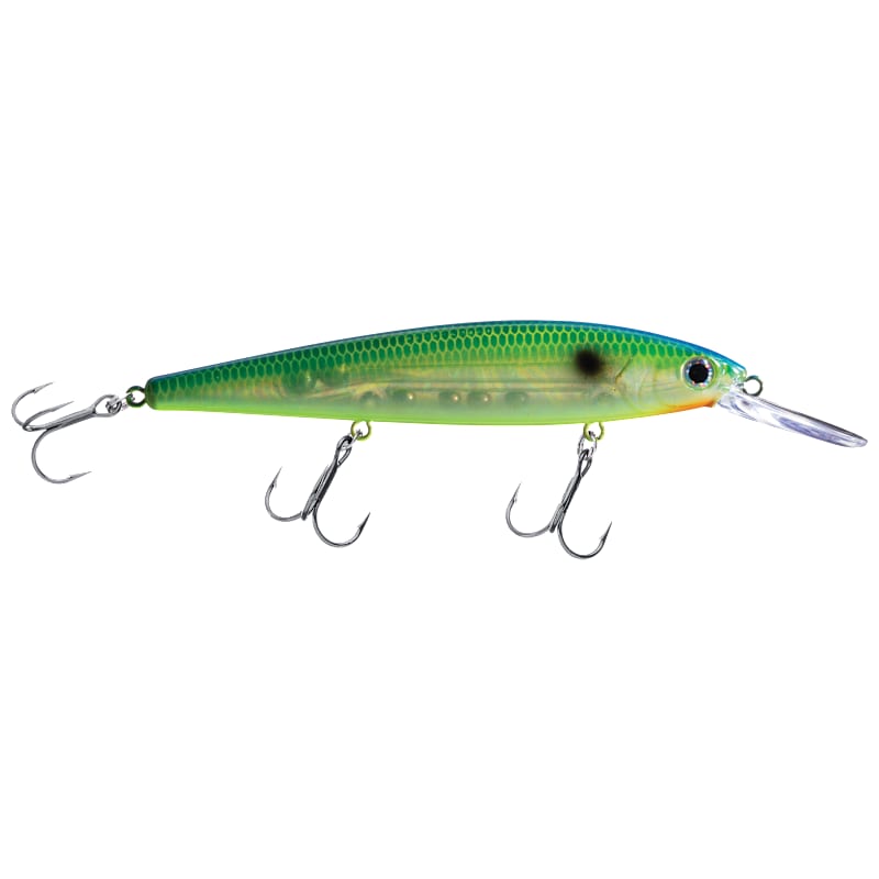 Strike King KVD Deep Jerkbait