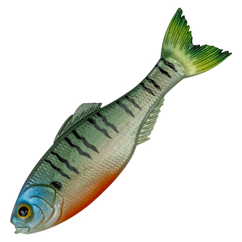 6th Sense Fishing Panorama