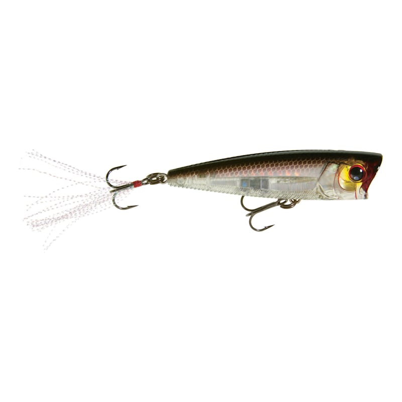 Yo-Zuri 3DB Popper