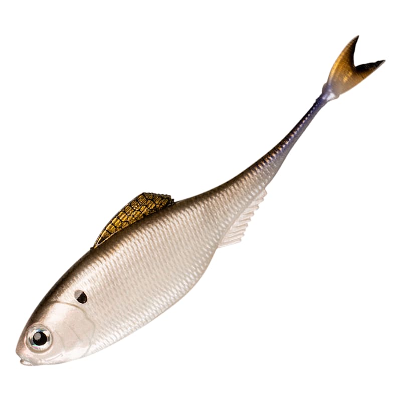 6th Sense Fishing Fiction Shad
