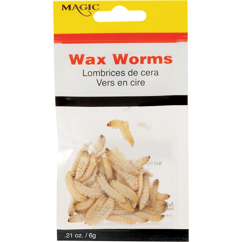 Magic Preserved Wax Worms