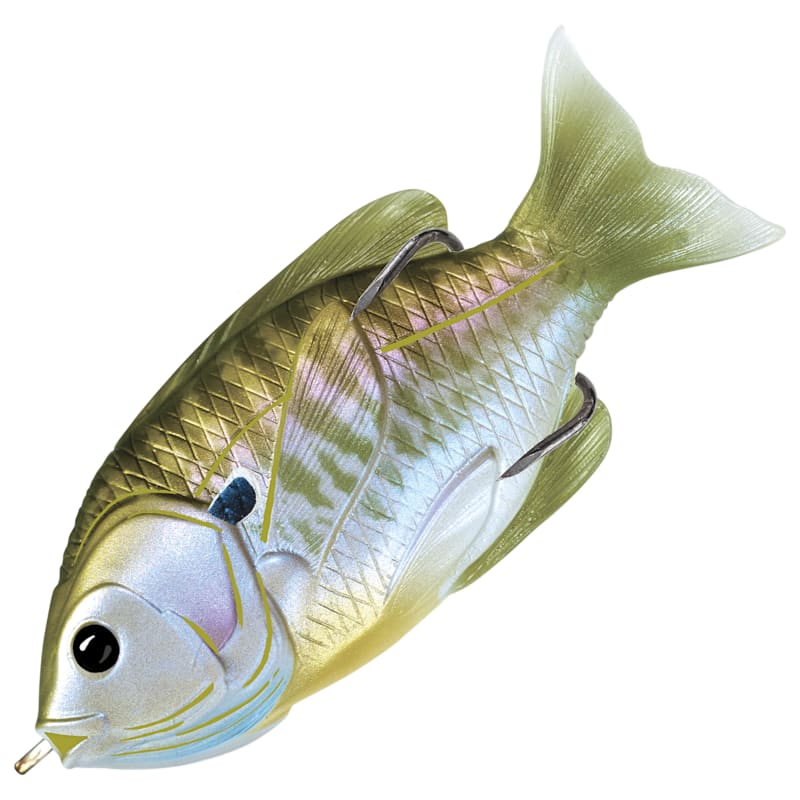 LIVETARGET Sunfish Hollow Body