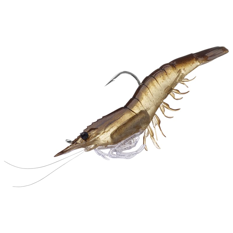 LIVETARGET Shrimp