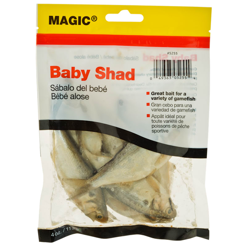 Magic Preserved Baby Shad Bait