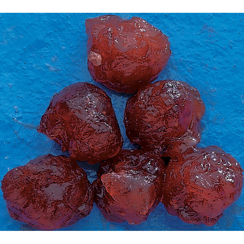 Pro-Cure Salmon Roe