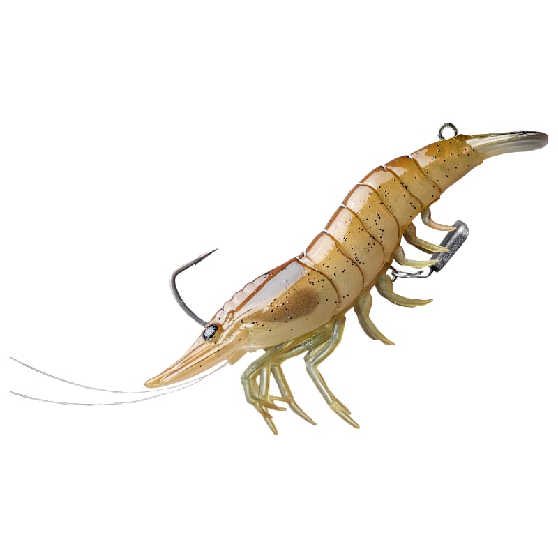 LIVETARGET Live Shrimp