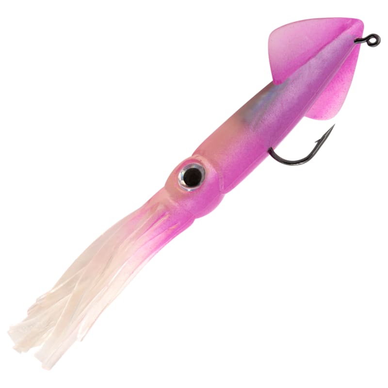 Tsunami Weighted Holographic Rigged Squid