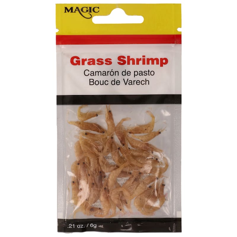 Magic Grass Shrimp