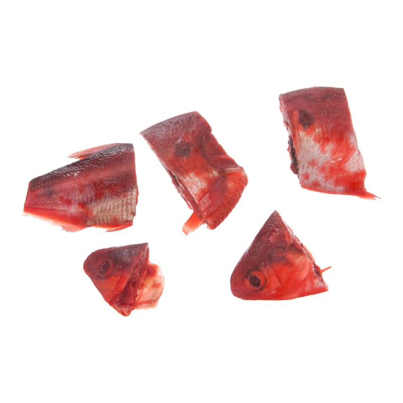 Magic Preserved Cut Shad