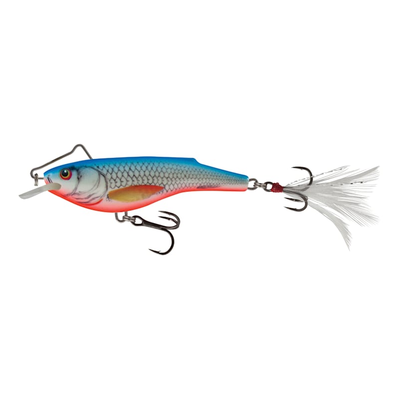 Salmo Rail Shad