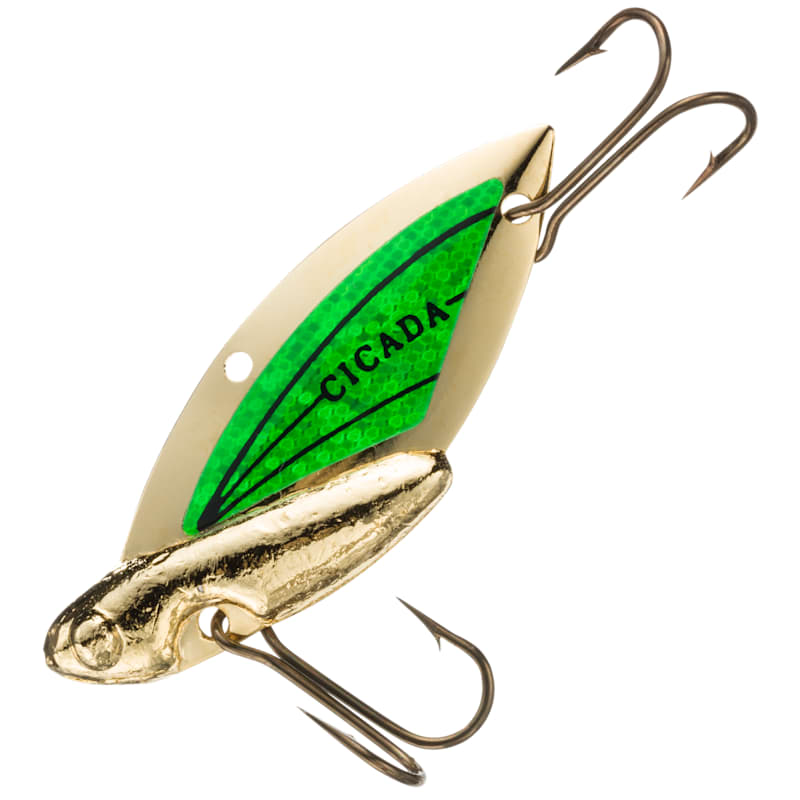 Reef Runner Cicada
