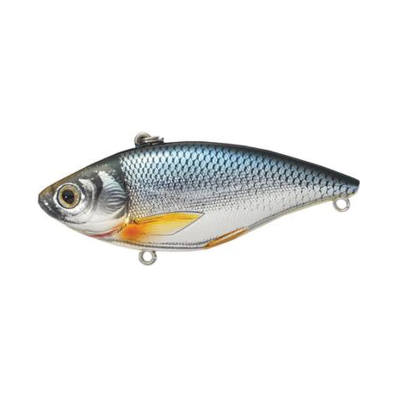 LIVETARGET Golden Shiner