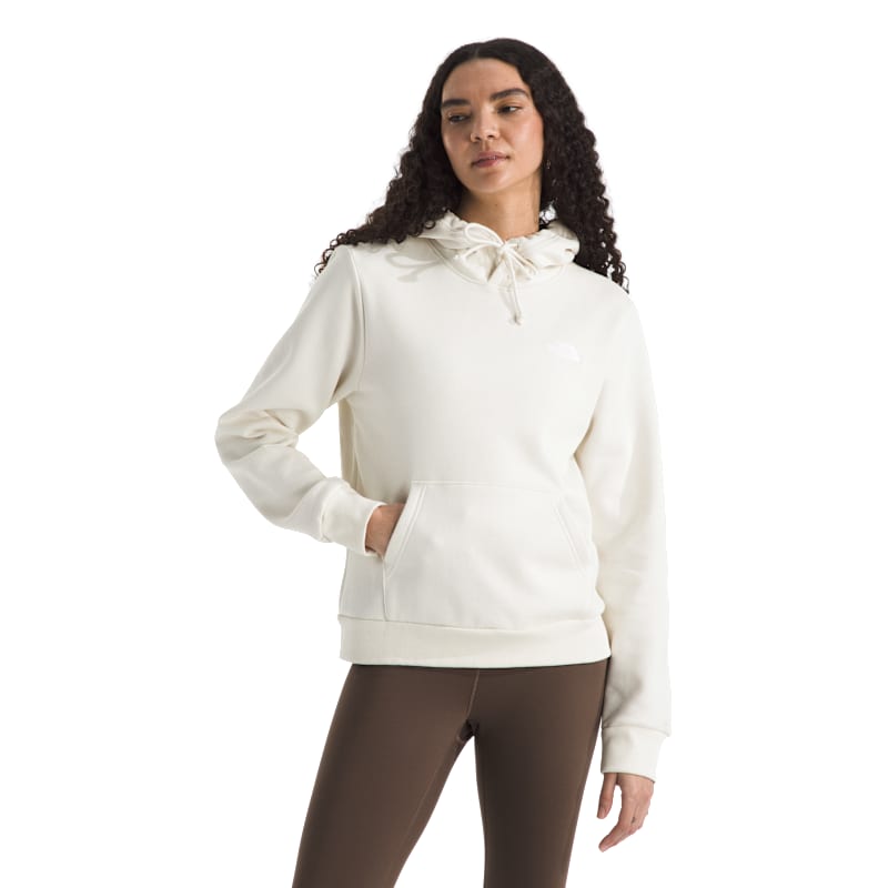 The North Face Evolution Simple Dome Embroidered Hoodie