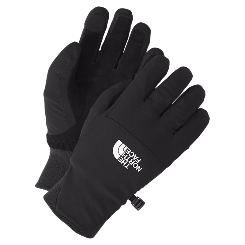 The North Face Shelbe Raschel E-Tip Gloves for Ladies