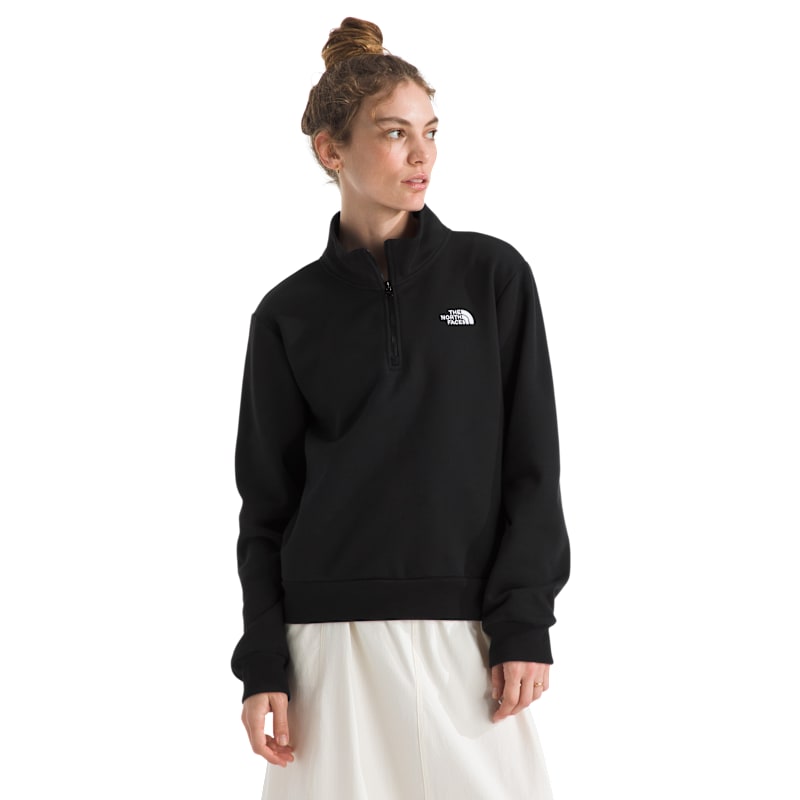 The North Face Evolution Simple Dome Collar Quarter-Zip Pullover
