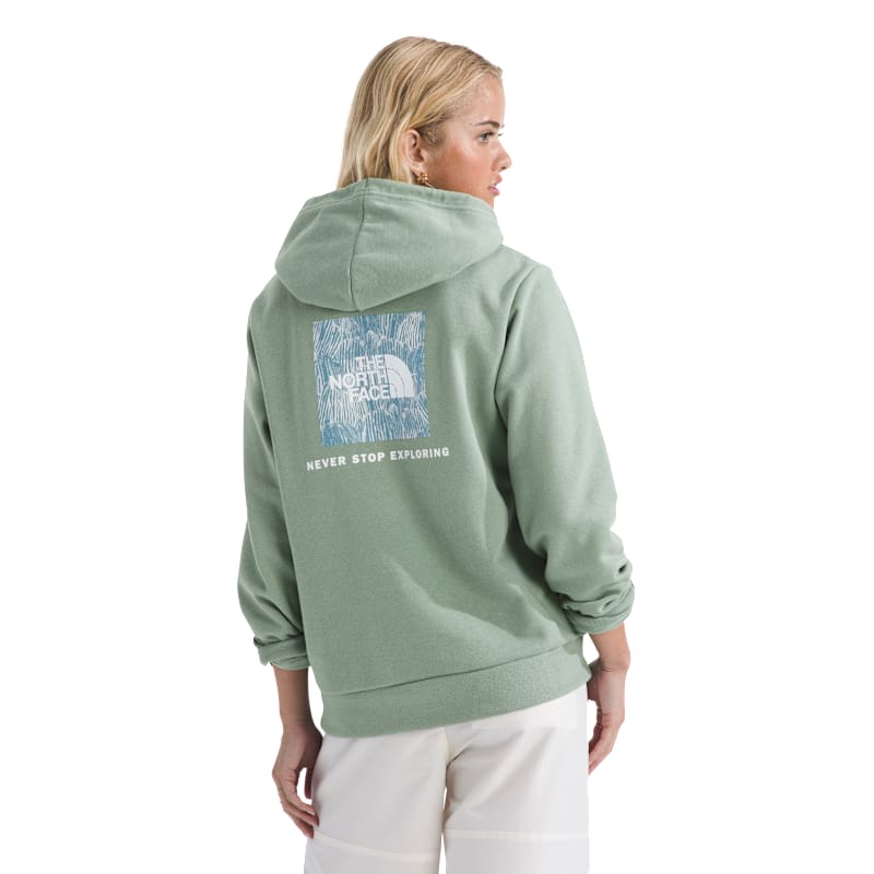 The North Face Evolution Box NSE Graphic Fill Hoodie