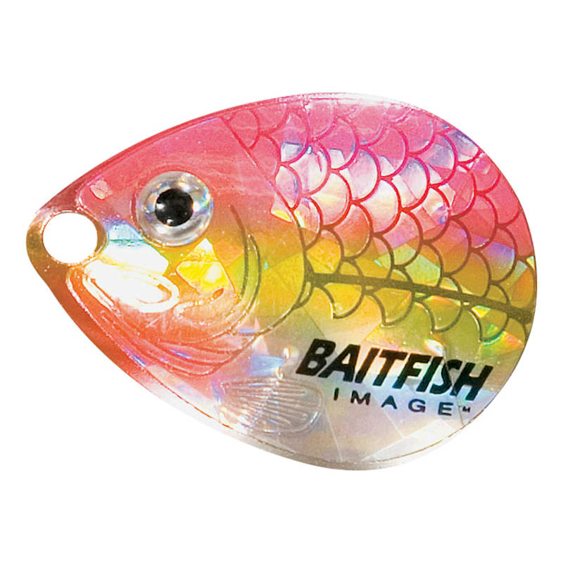 Northland Fishing Tackle Baitfish-Image Colorado Blade