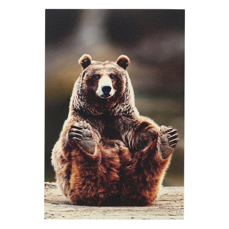 Open Road Brands Playful Bear Holding Feet Canvas Wall Art