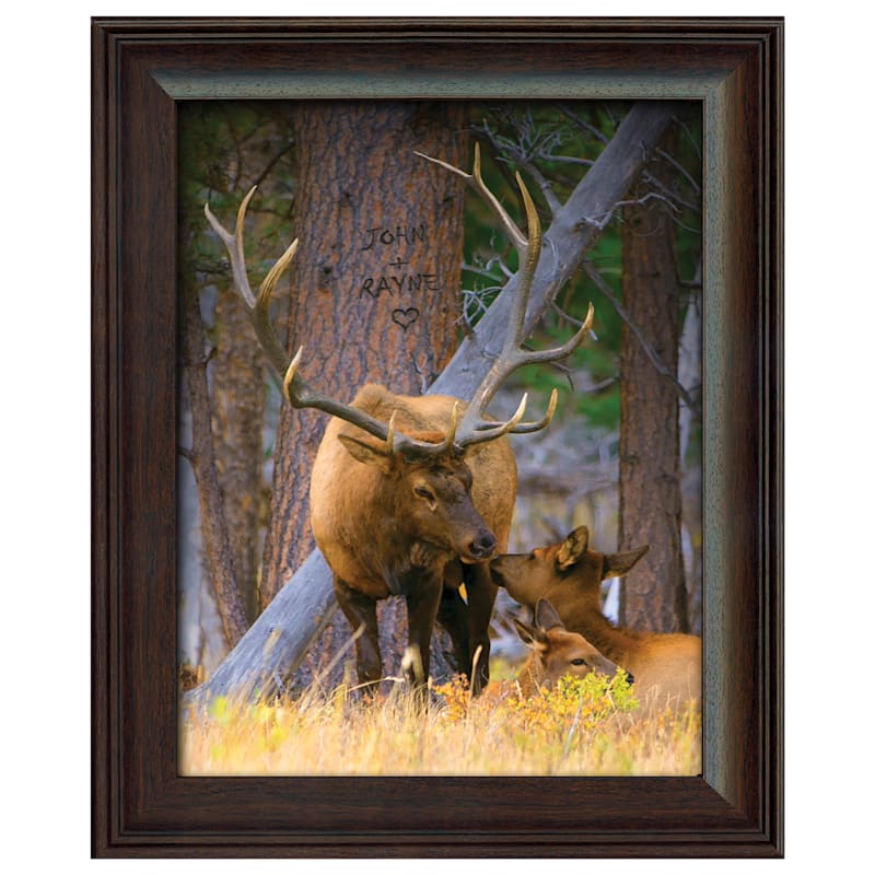 Elk Family Personalized Framed Art by Scott Kennedy
