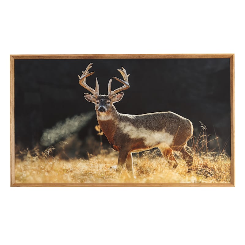 Open Road Brands Deer in Field Framed Wood Wall Art by Lance Krueger