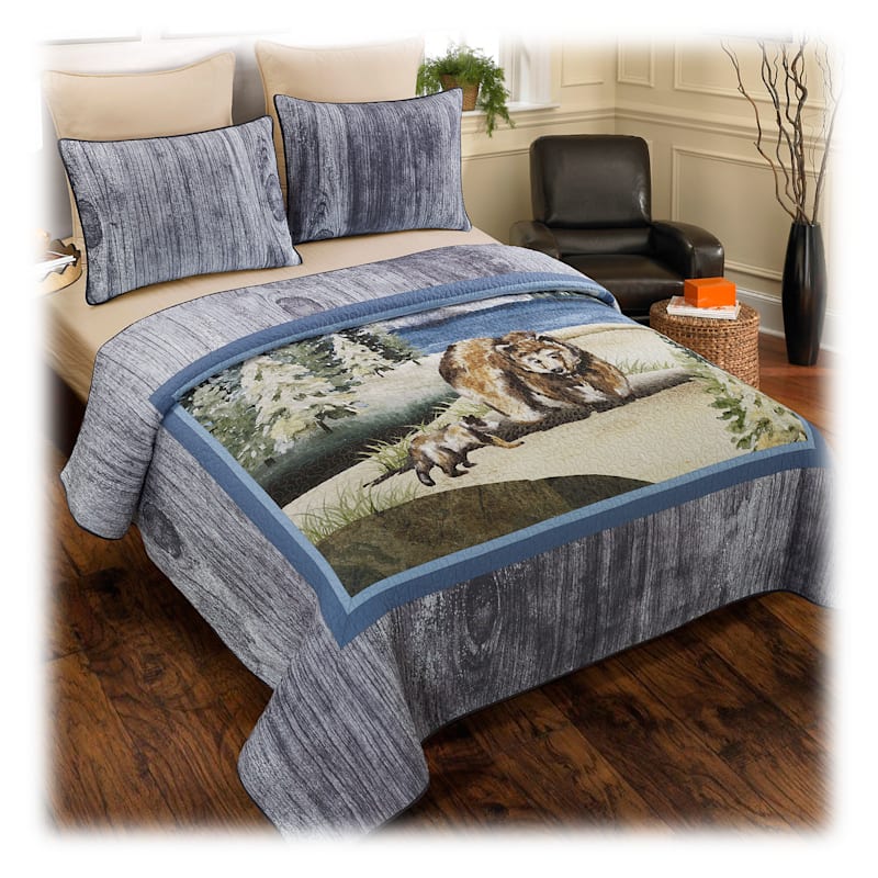 Donna Sharp Montana Morning Bedding Collection Cotton Quilt Set