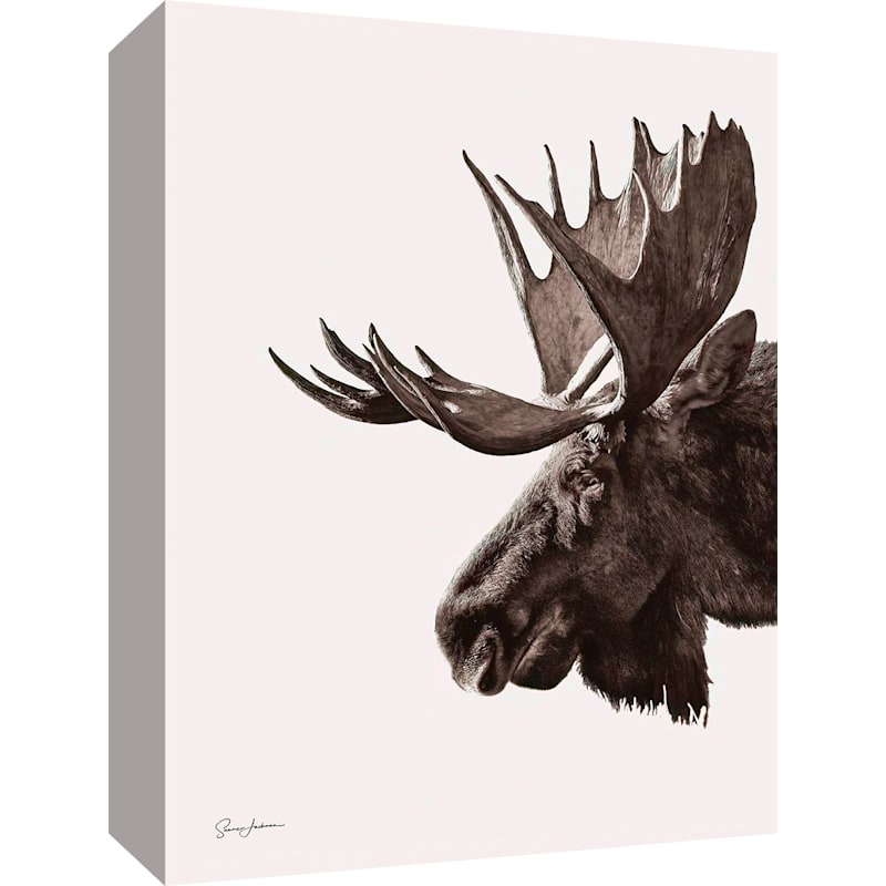 Rocky Mountain Publishing Portrait of a King Canvas Giclee by Summer Jackman