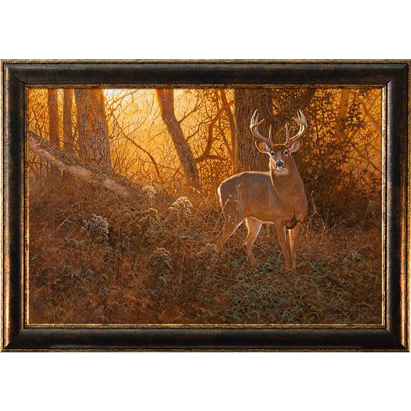 Rocky Mountain Publishing Evening Encounter Canvas Giclée by Hayden Lambson