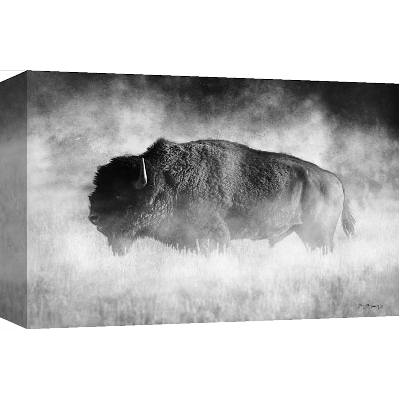 Rocky Mountain Publishing Dusty Traveler Canvas Giclee by Mitch Mansanarez