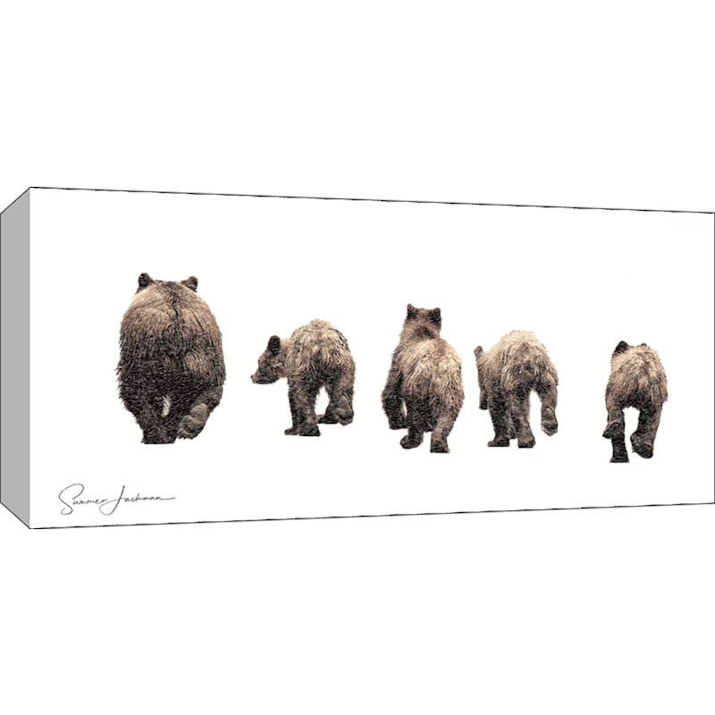 Rocky Mountain Publishing Bears in Snow Canvas Giclee by Summer Jackman