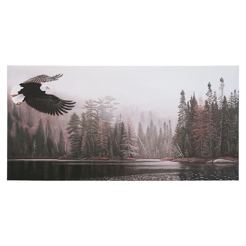 Open Road Brands Eagle Canvas Wall Art by Clinton Jammer