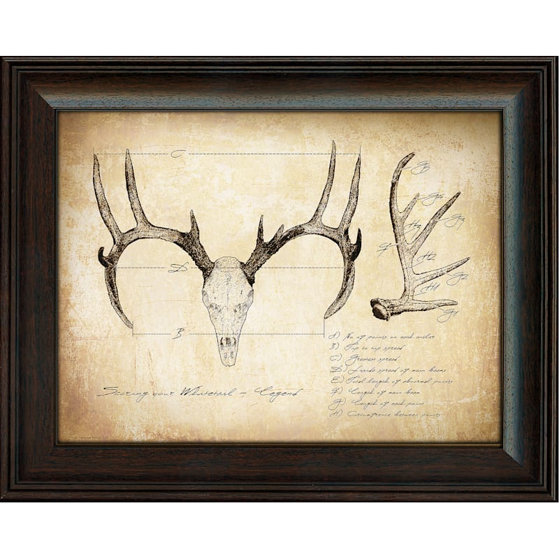 Scott Kennedy Kennedy's Personal Prints Whitetail Scoring Framed Print with Glass