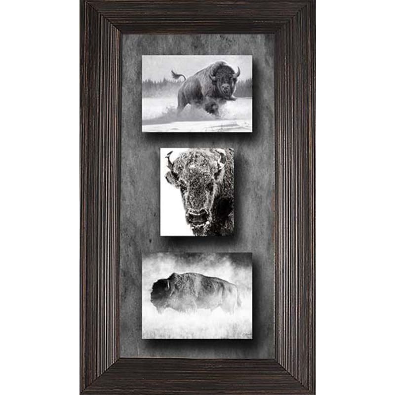Rocky Mountain Publishing Bison Triple Canvas Giclee by Summer Jackman