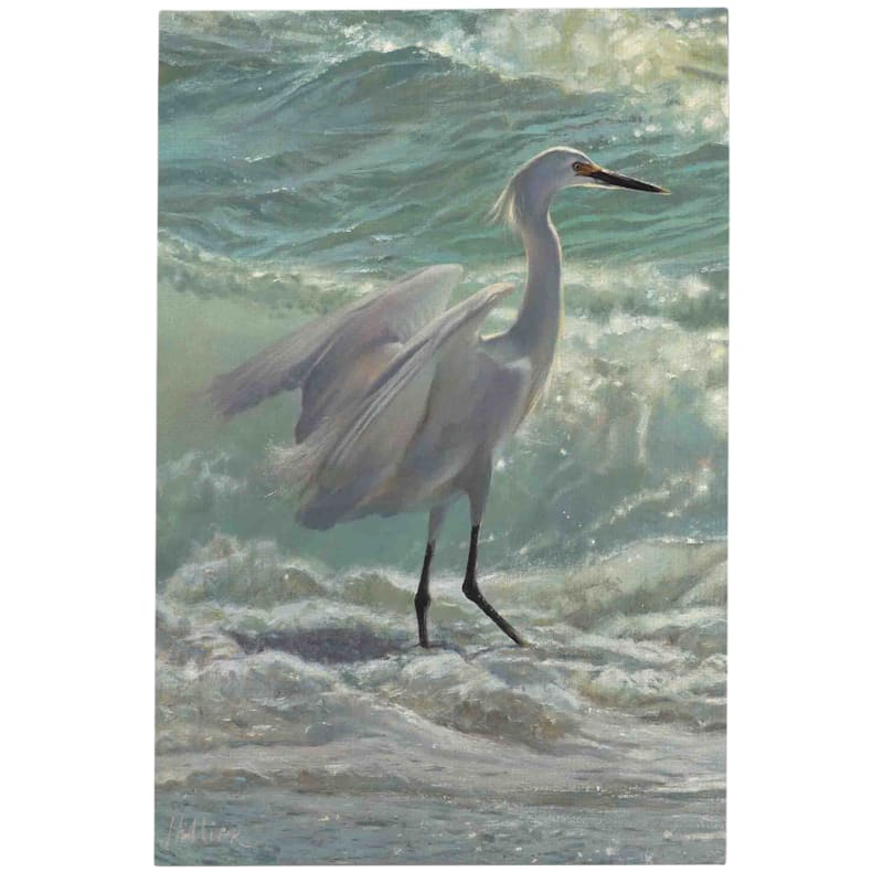 Open Road Brands Egret Stretched Canvas Wall Art
