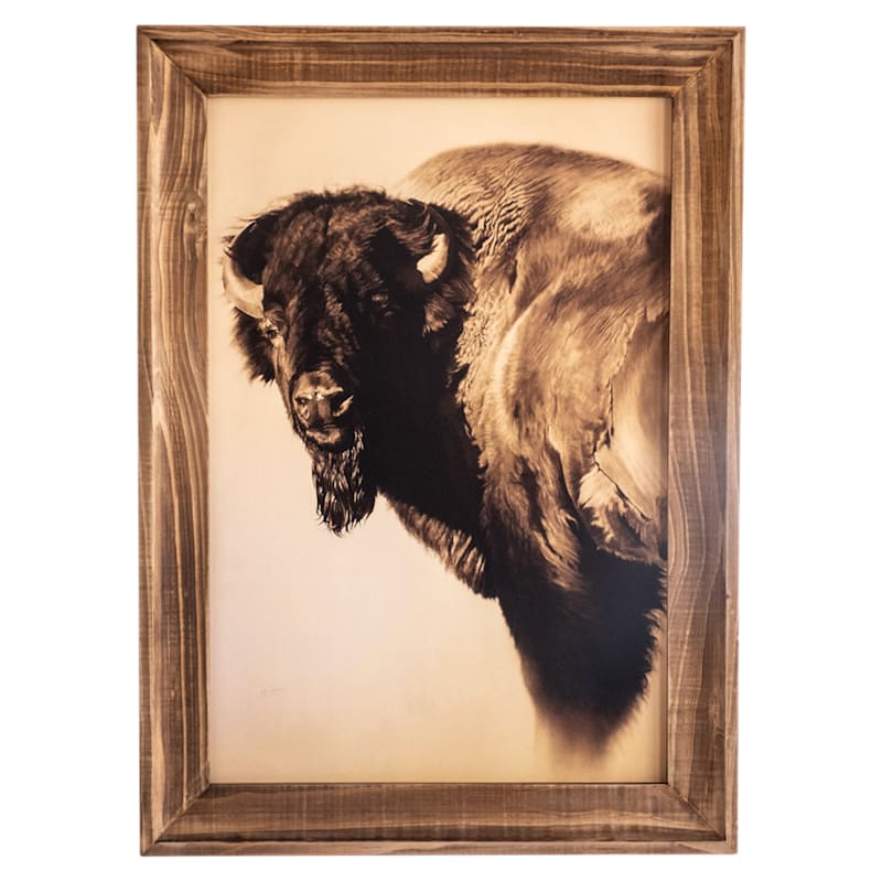 Open Road Brands Bison Framed MDF Wall Art by Cole Johnson
