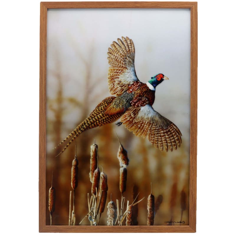 Open Road Brands Pheasant on Framed Acrylic