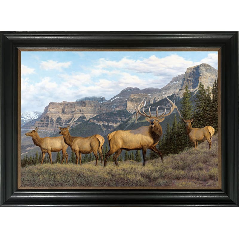 Rocky Mountain Publishing Mountain Magic Canvas Giclée by Manuel Mansanarez