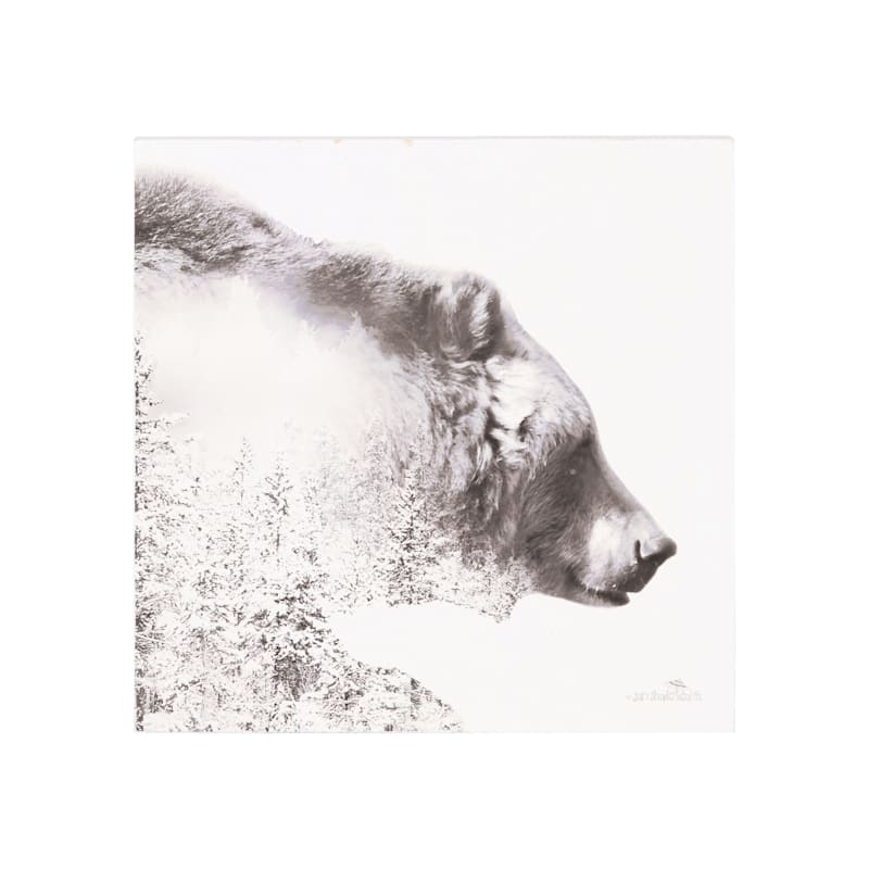 C&F Home Bear Forest Wall Art
