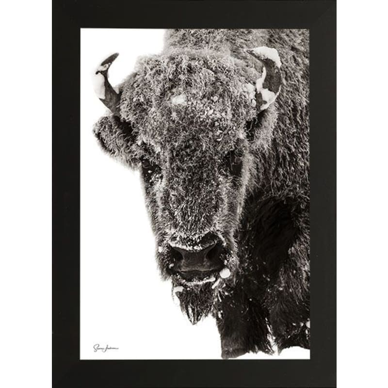 Rocky Mountain Publishing Winter Keeper Canvas Giclée by Summer Jackman