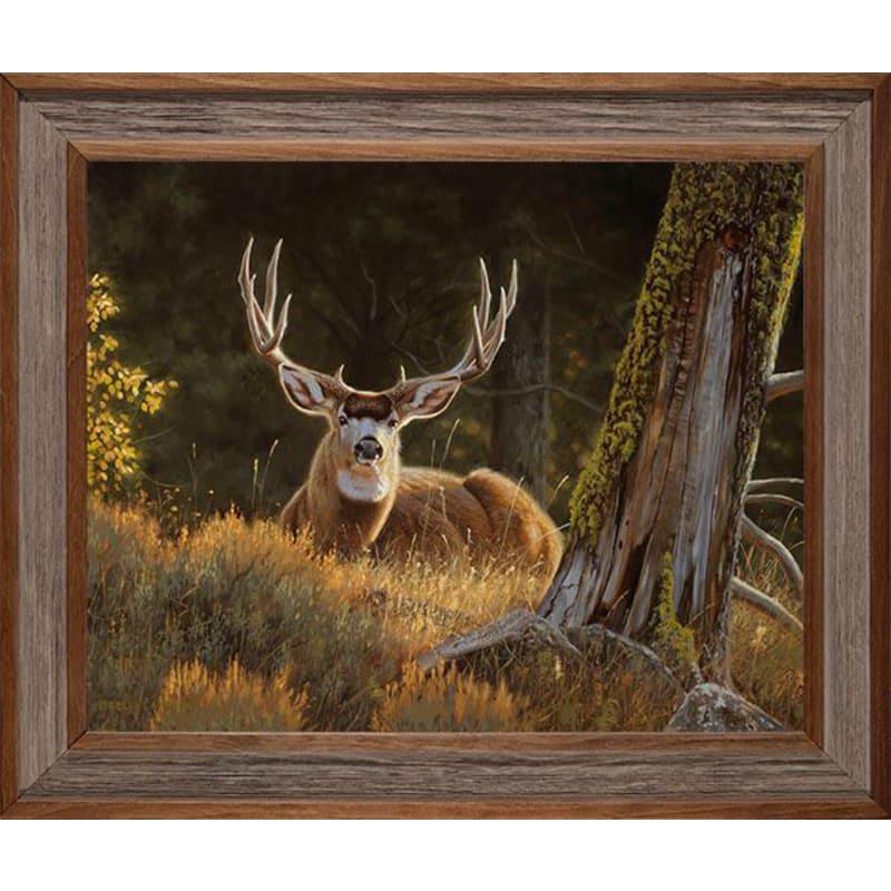 Rocky Mountain Publishing Sunday Morning Mass Canvas Giclée by Dallen Lambson