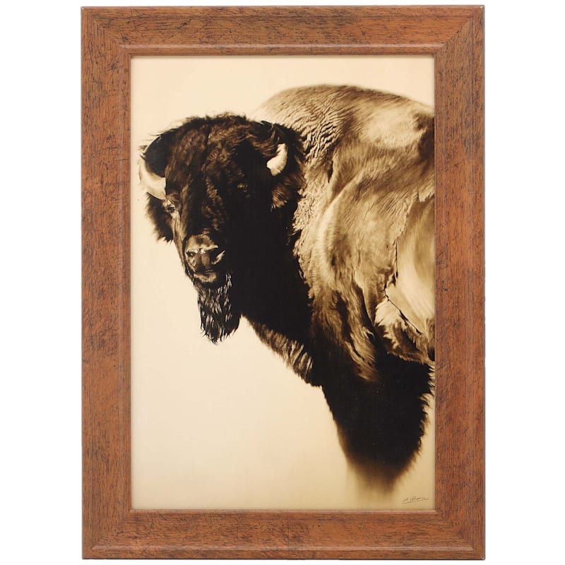 Open Road Brands Johnson Bison Framed Canvas Wall Art
