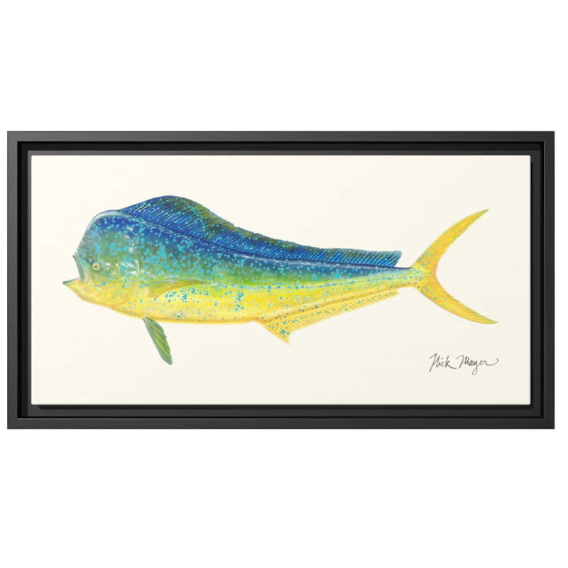 Nick Mayer Bull Mahi Framed Canvas