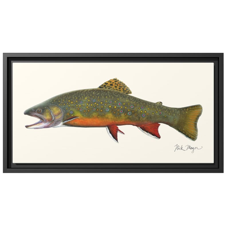 Nick Mayer Brook Trout Framed Canvas