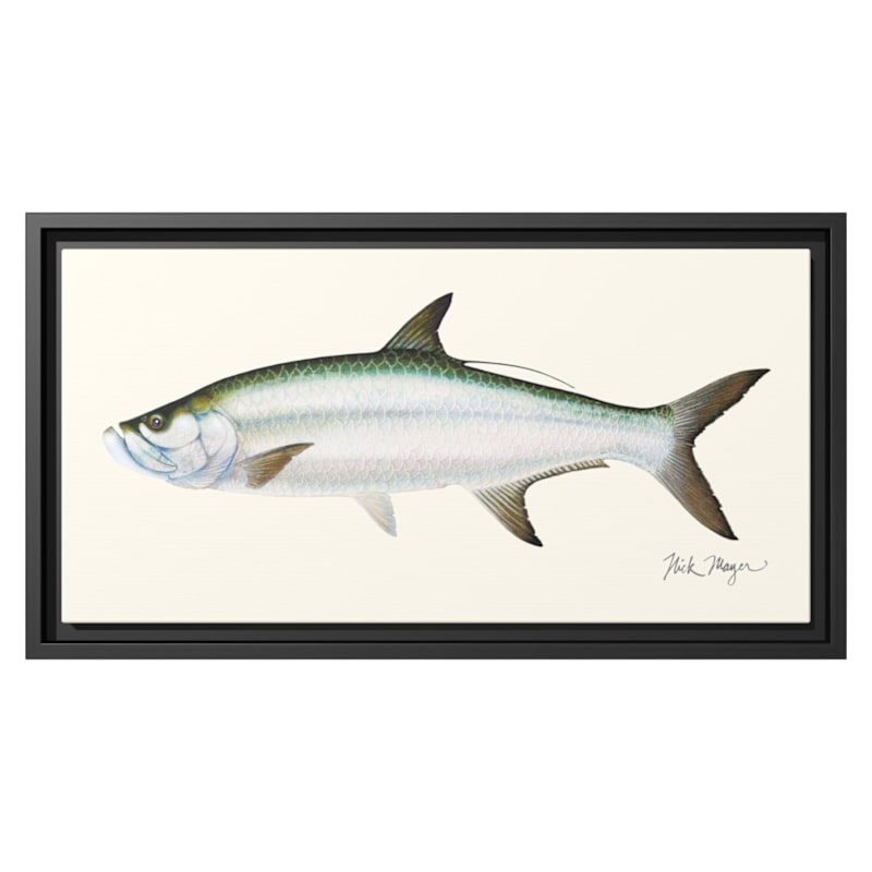 Nick Mayer Tarpon Framed Canvas