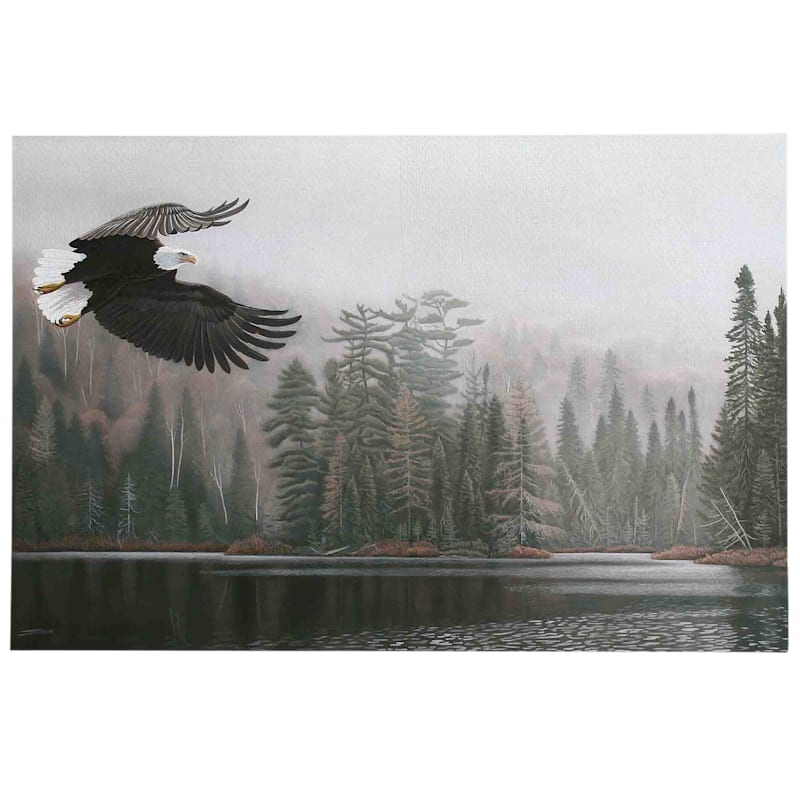 Open Road Brands Jammer Eagle Stretched Canvas Wall Art