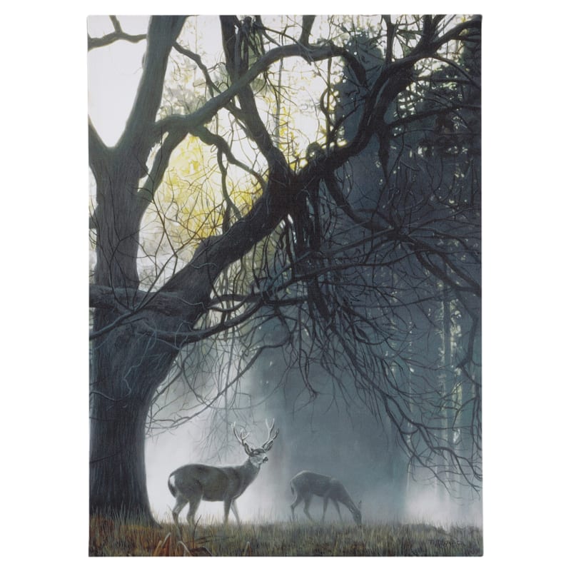 Open Road Brands Foggy Deer in Trees Canvas Wall Art by Terry Isaac