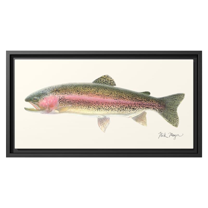 Nick Mayer Rainbow Trout Framed Canvas