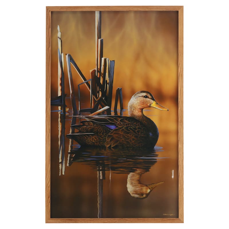 Open Road Brands Duck Reflection Framed Wood Wall Art by Richard Clifton